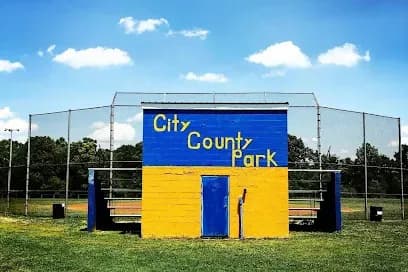 Princeton City/ County Park pickleball courts
