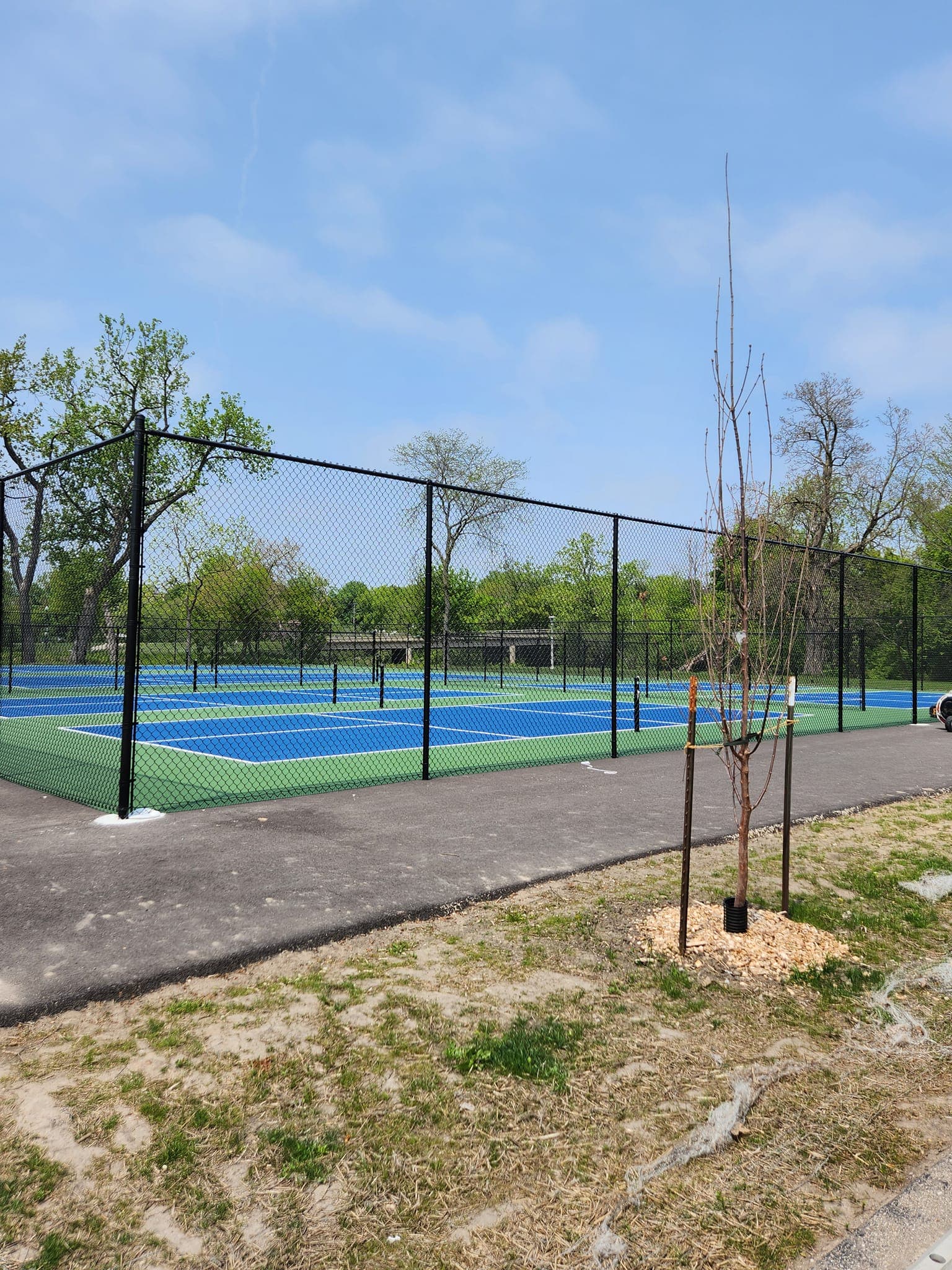 Island Park pickleball courts