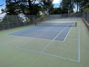 Buena Vista Park pickleball courts