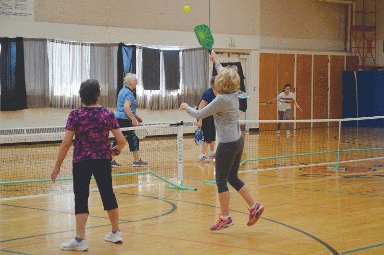 Catherine Bonifas Civic Center pickleball courts