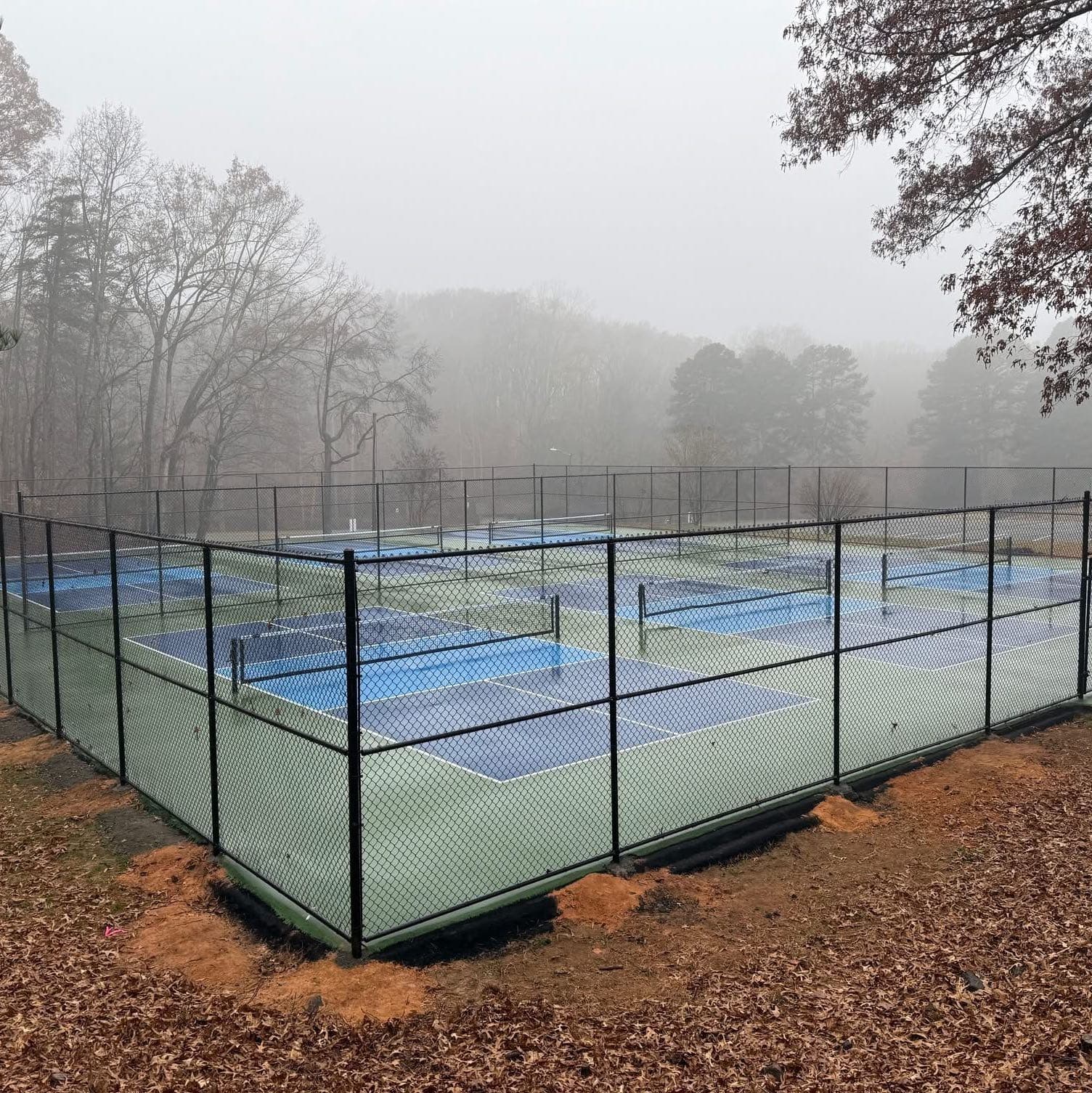 Rich park pickleball courts