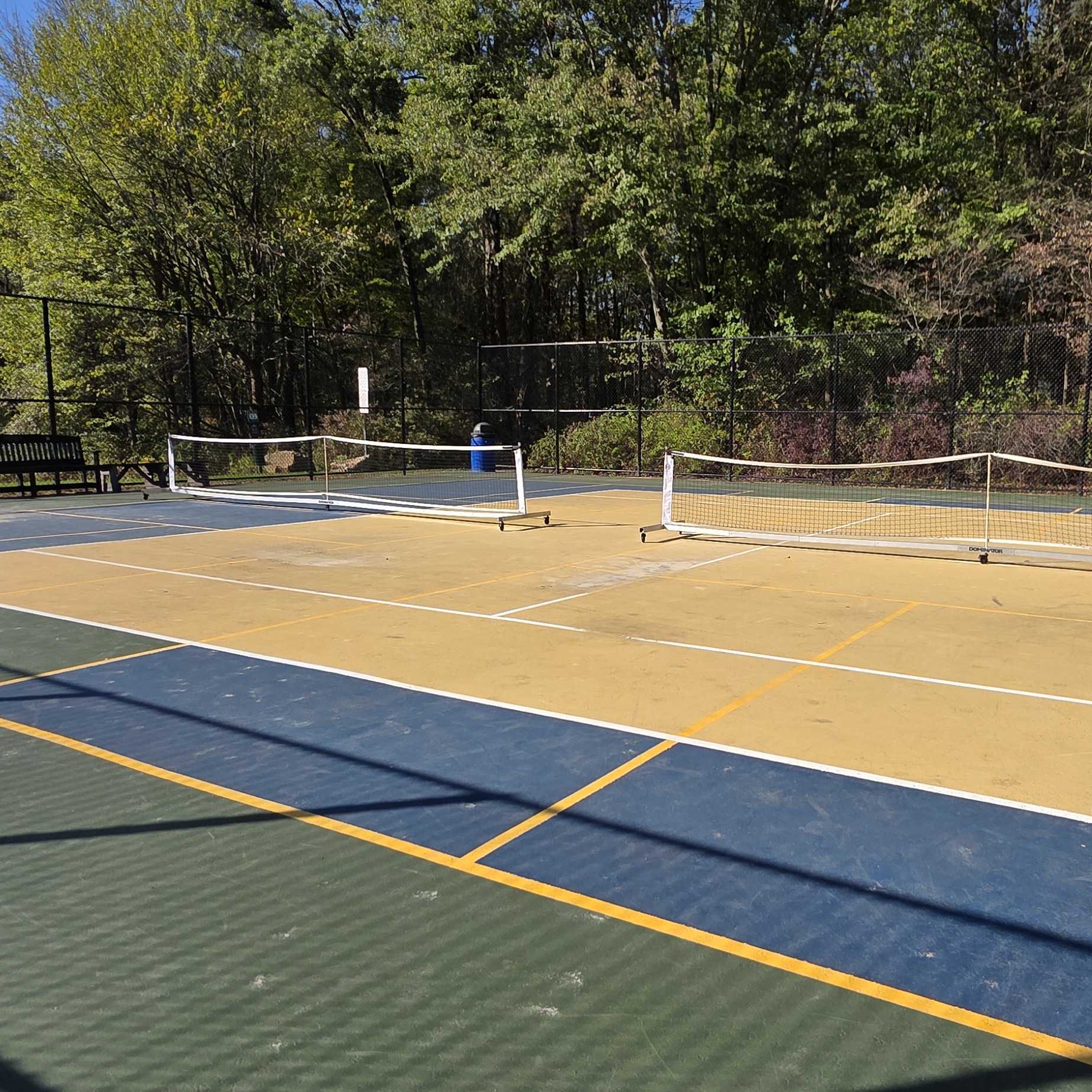 Lions Community Park pickleball courts