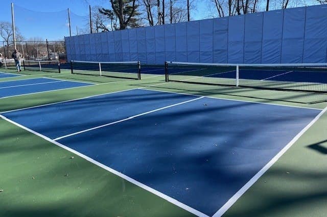 Loughran Park pickleball courts