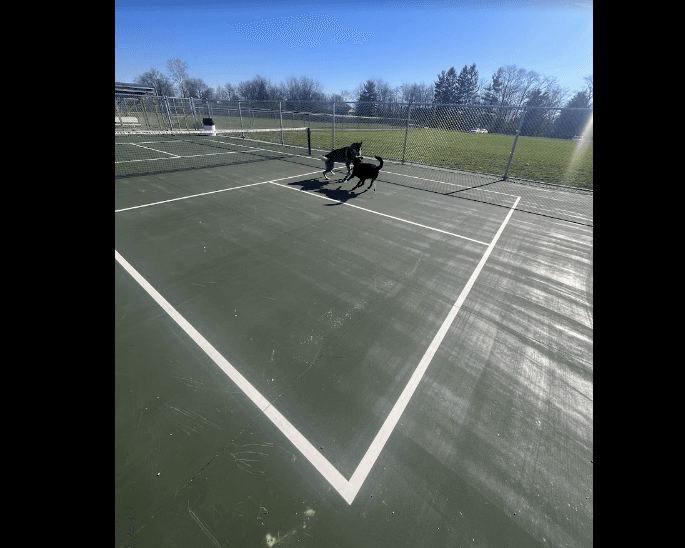 Stowell Park pickleball courts