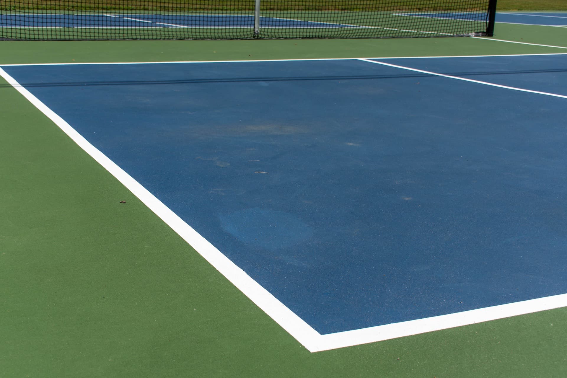 Oregon Pickleball Club pickleball courts