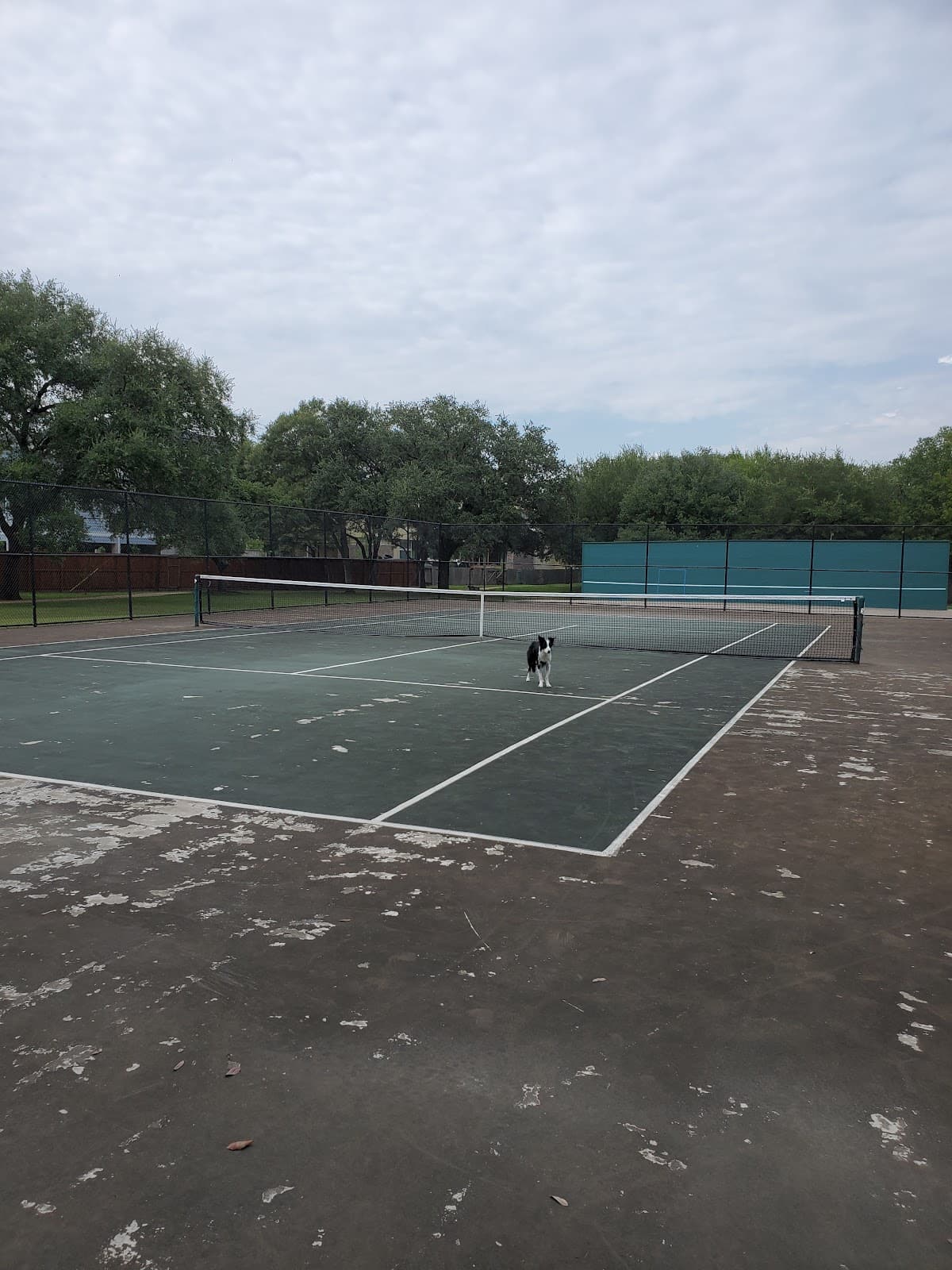 Karl Young pickleball courts