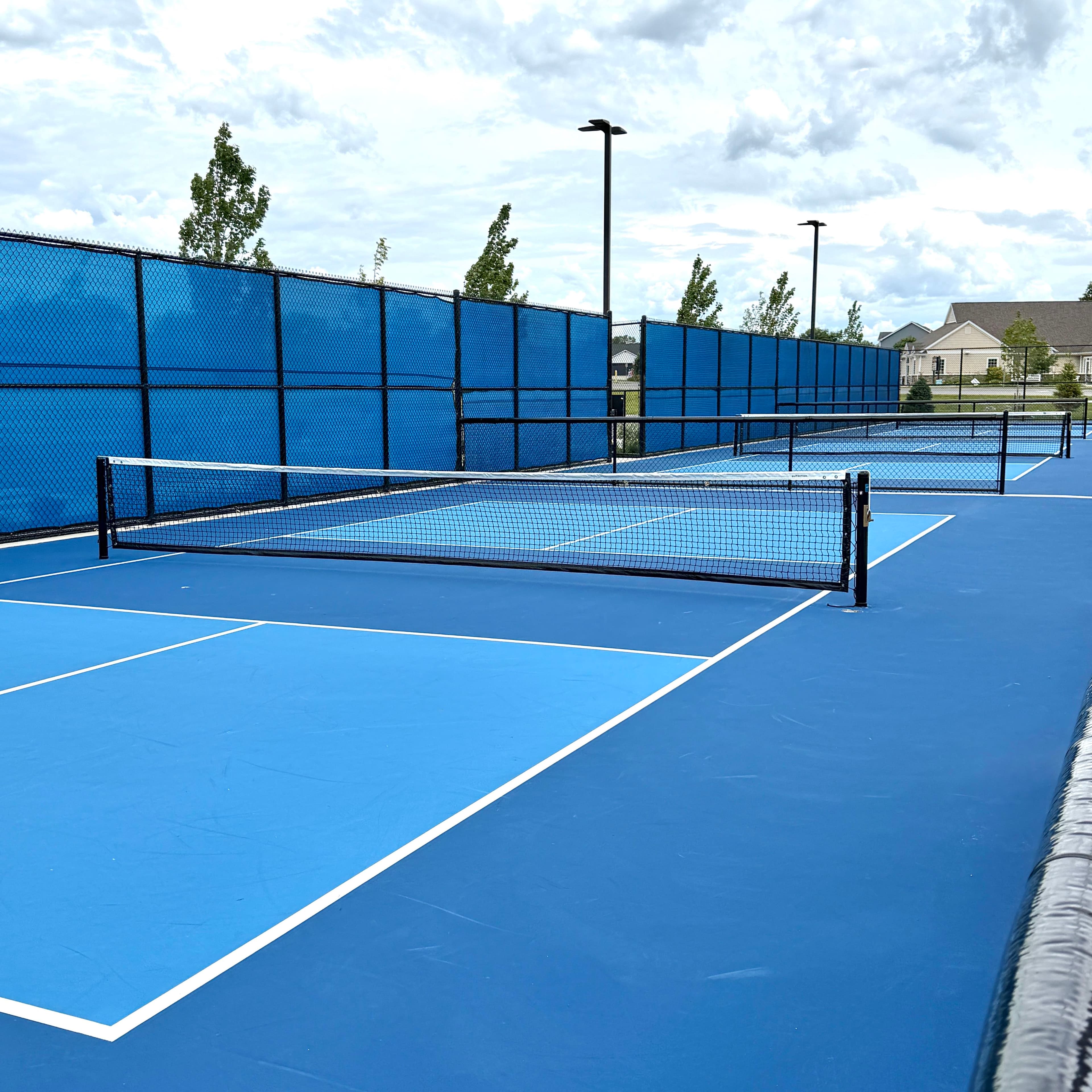Susan K Stroh Memorial Pickleball Courts pickleball courts