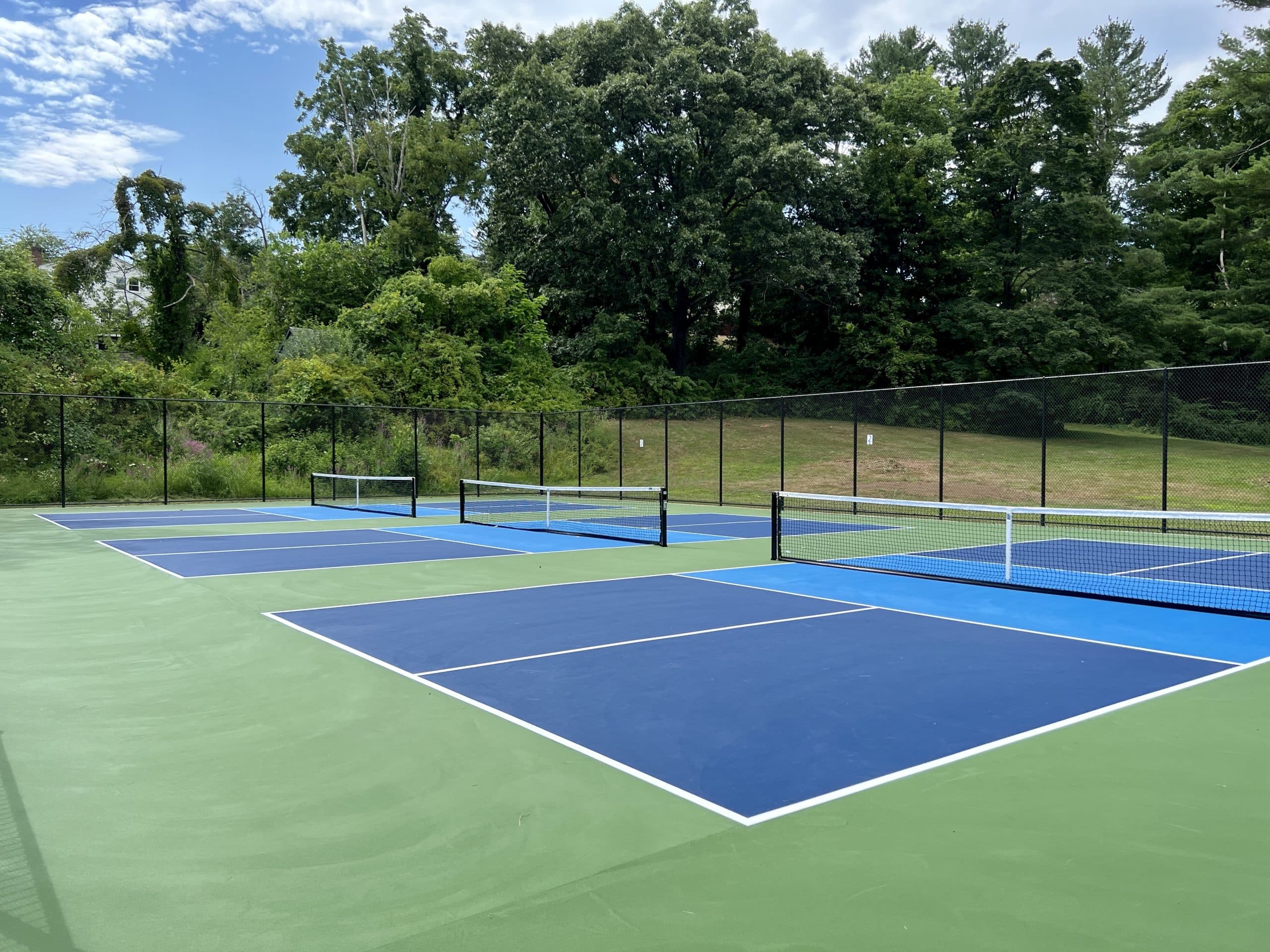 Buena Vista Courts pickleball courts