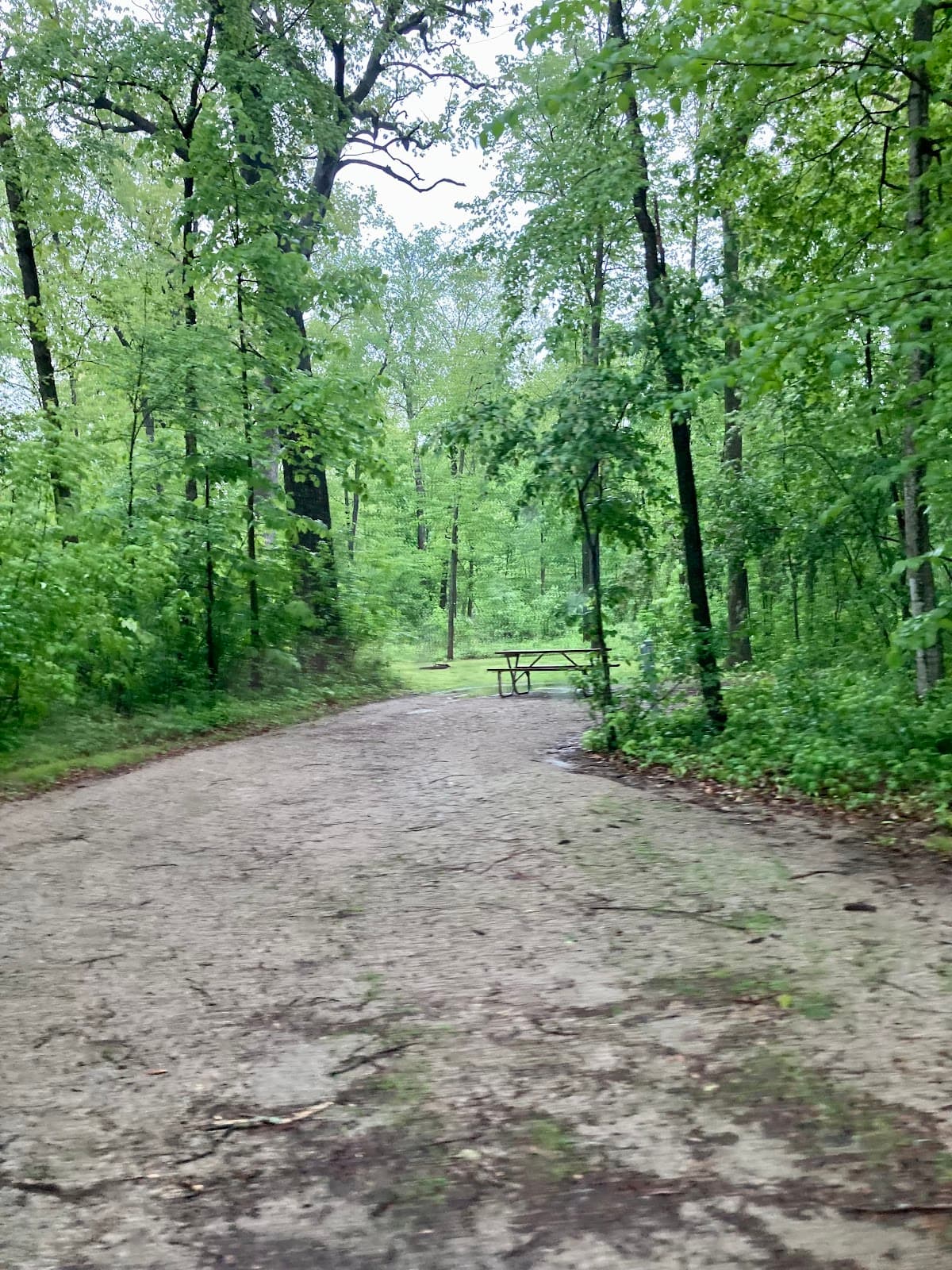Waupun County Park pickleball courts