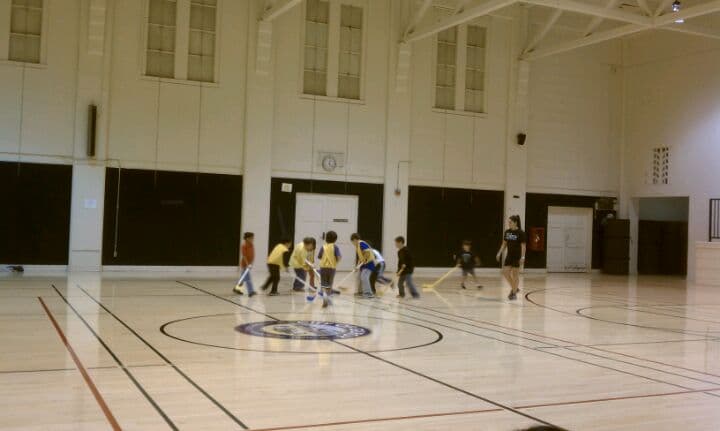 Wheeler Community Center pickleball courts
