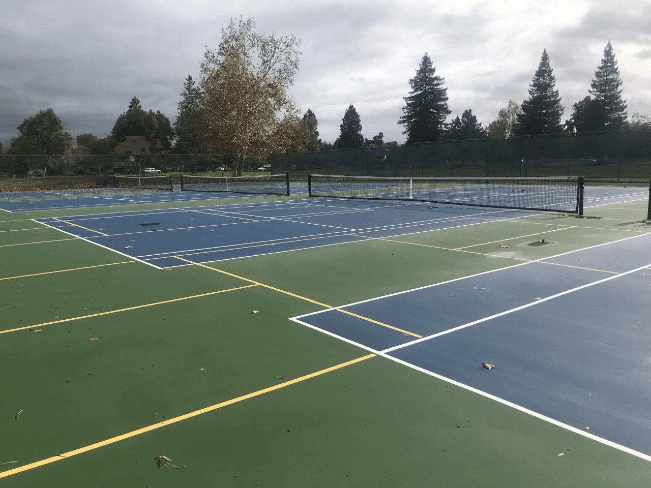 Doerr Park pickleball courts