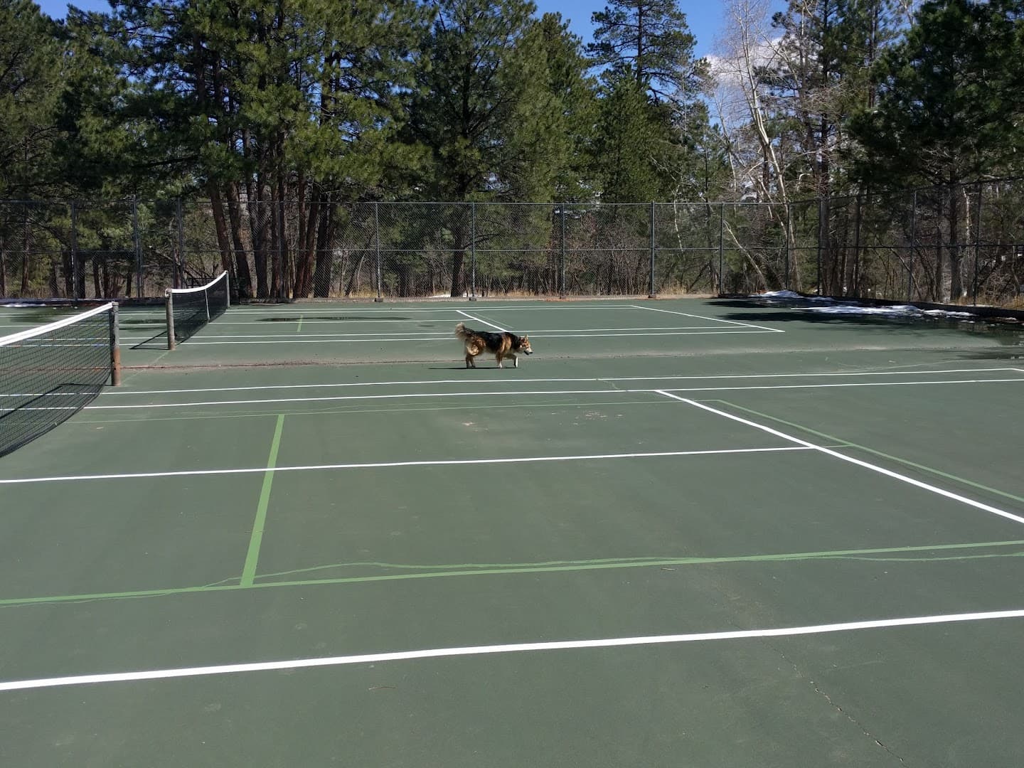 Glen Park pickleball courts