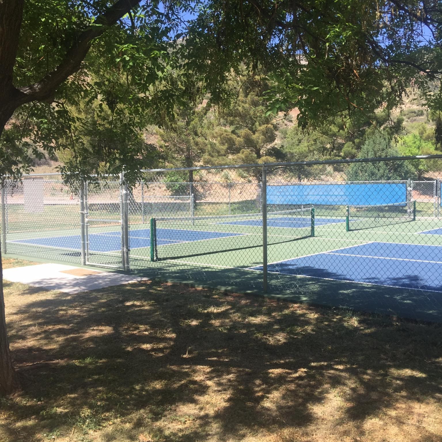 Higgins Park pickleball courts