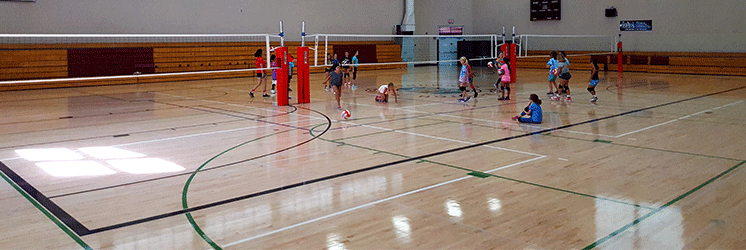 Red Morton Community Center pickleball courts