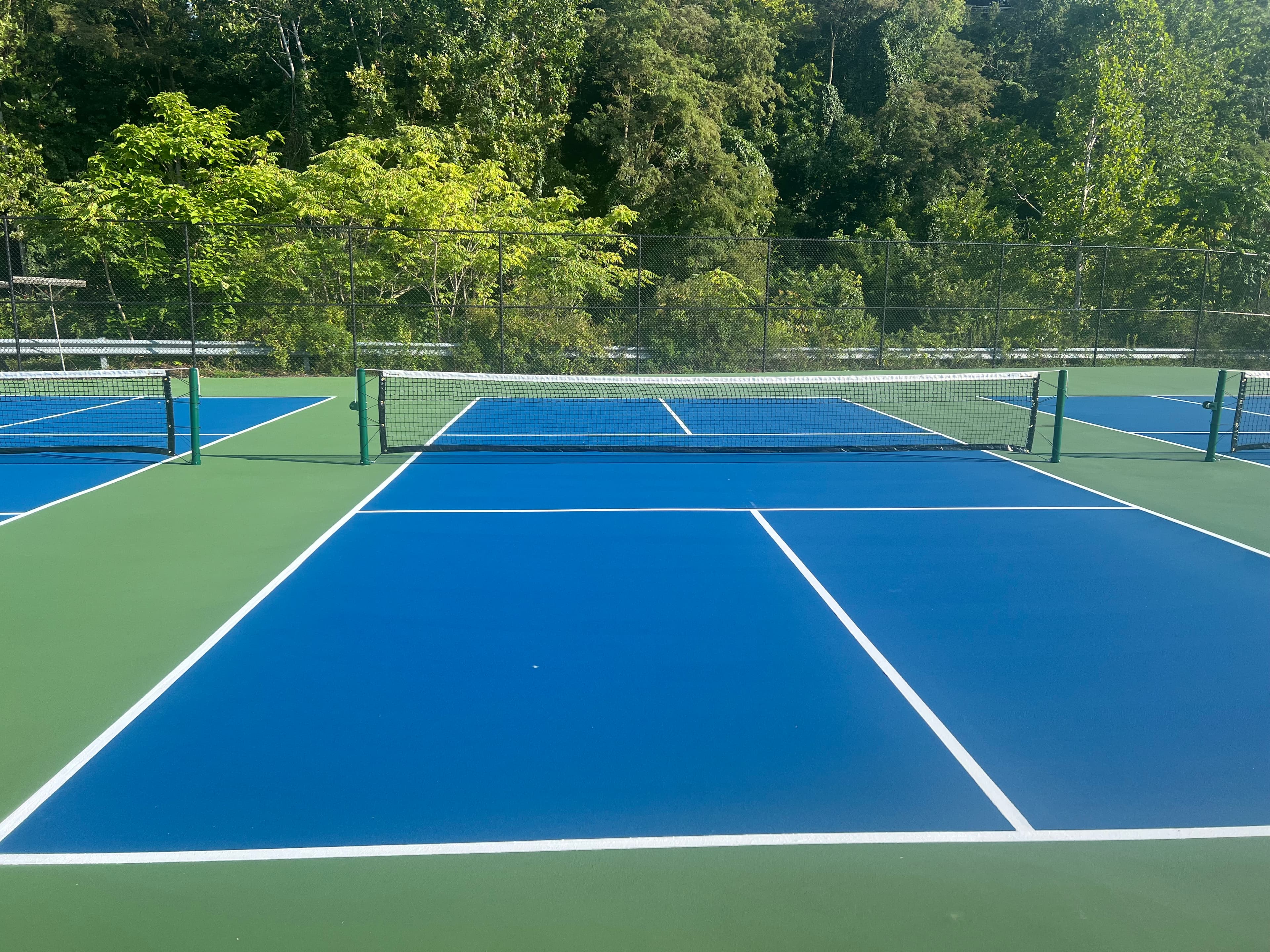 Alpha Tennis and Fitness pickleball courts