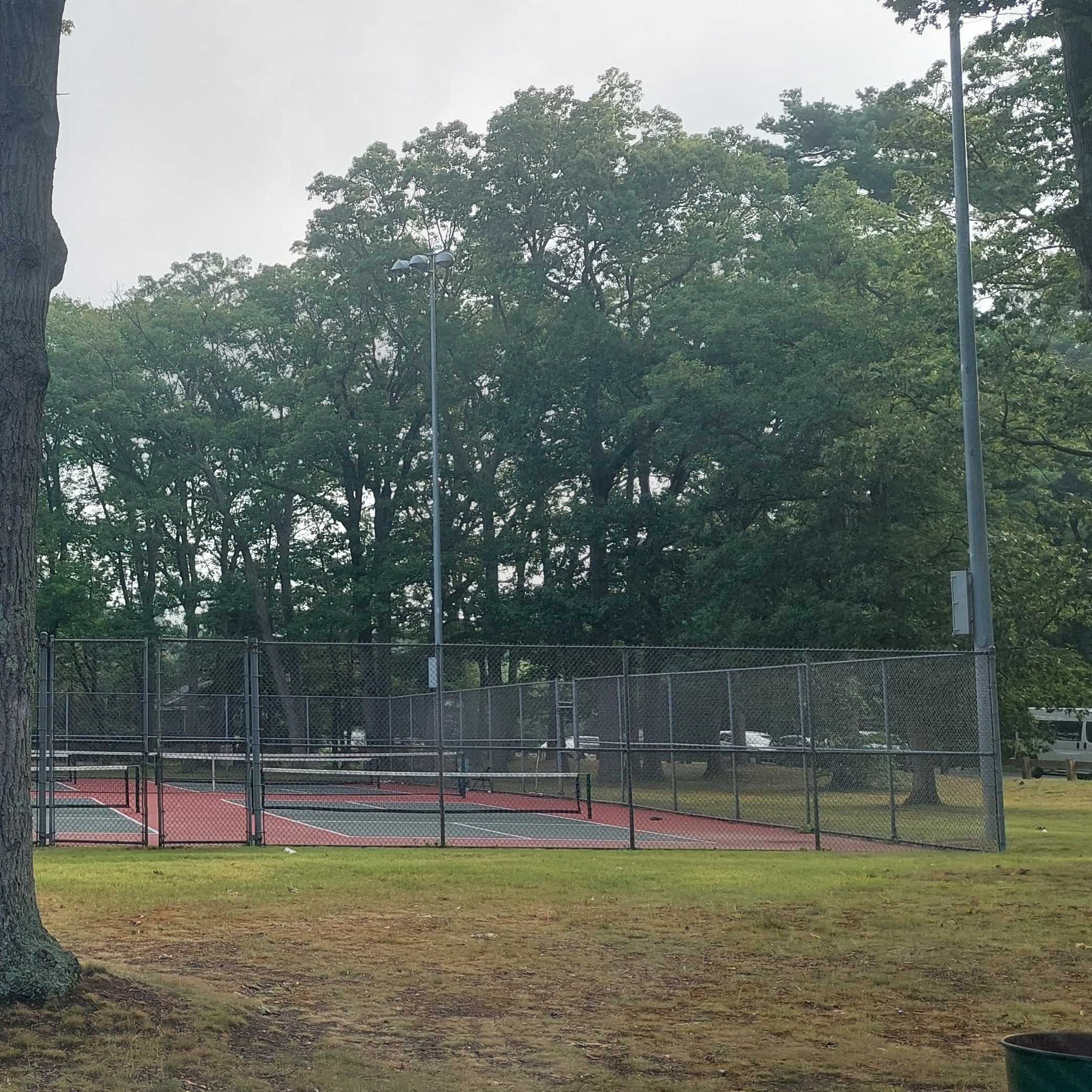 Butterworth Park pickleball courts