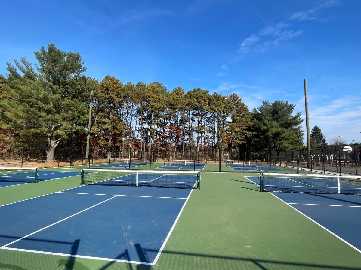 Otsego Park pickleball courts
