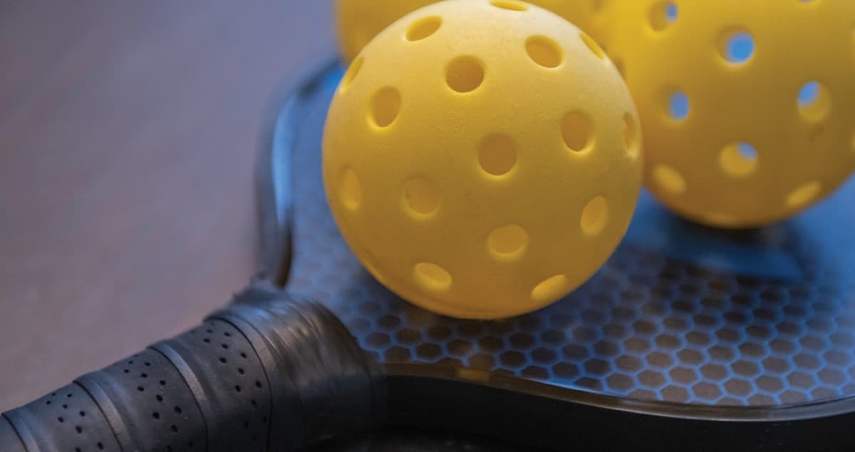 Carroll County Recs and Parks (Robert Moton) pickleball courts