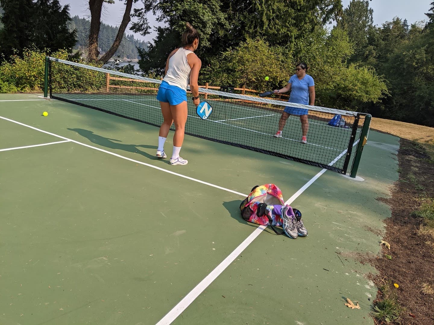 Williams-Olson Park pickleball courts