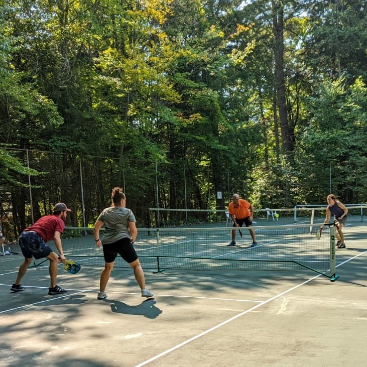 Pickle in the Park pickleball courts