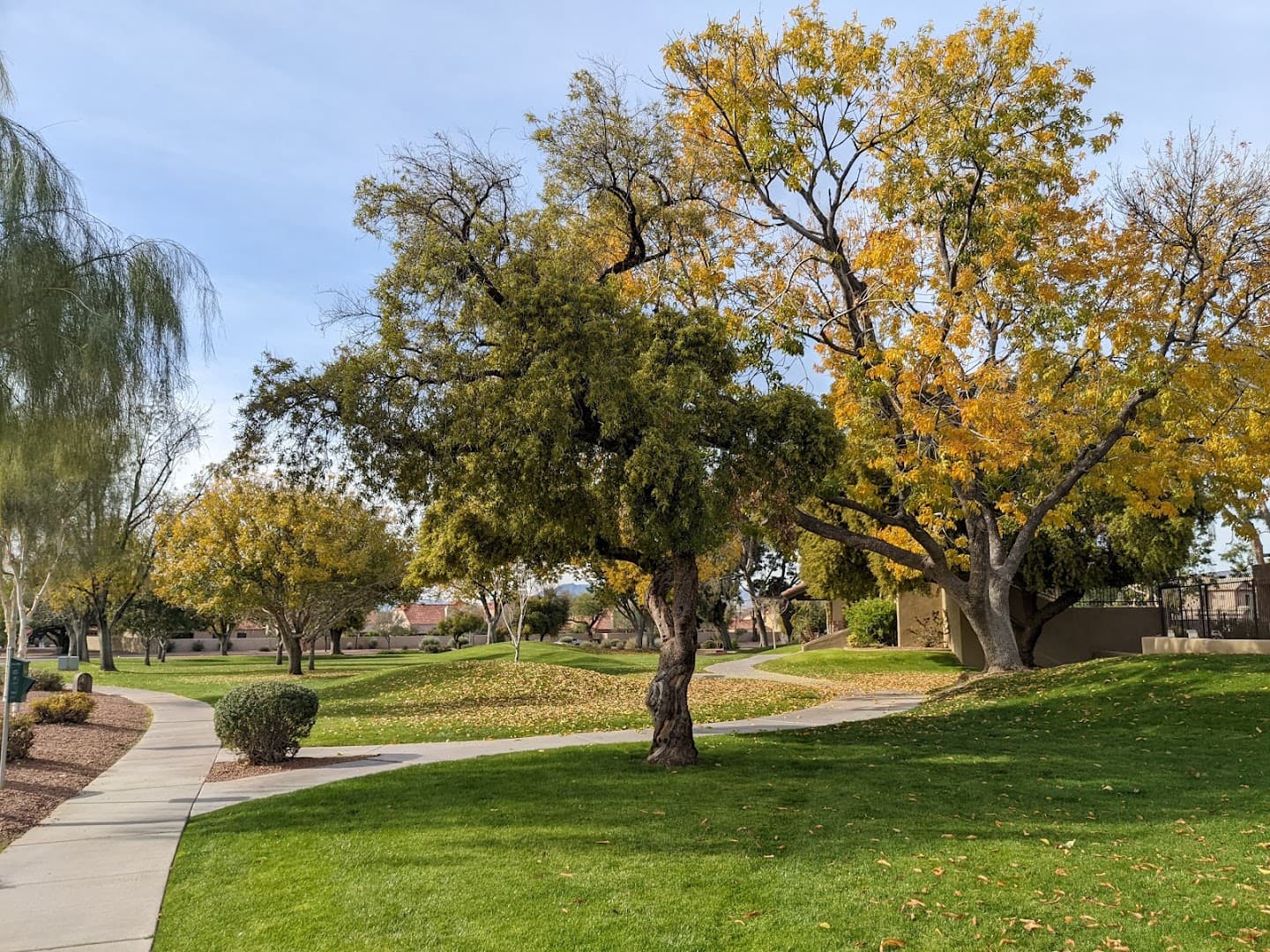 Mountain Park Ranch (HOA) pickleball courts