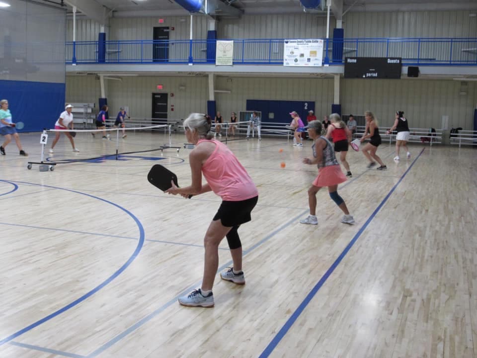Fannin County Recreation Department pickleball courts