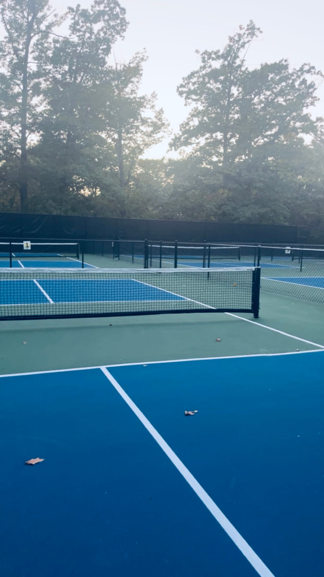 Treasure Lake Captain Kidd Park pickleball courts