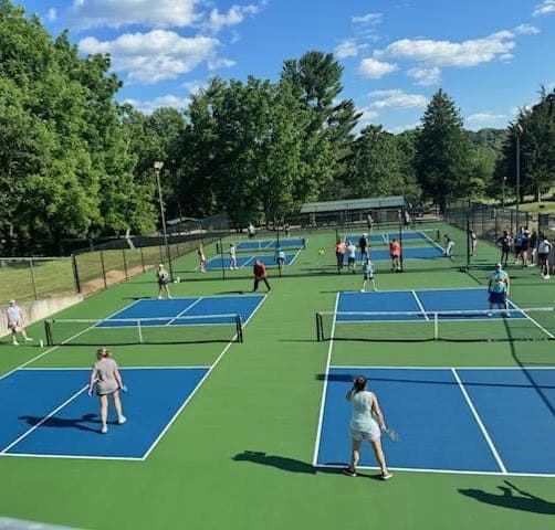 Broad Run Park pickleball courts