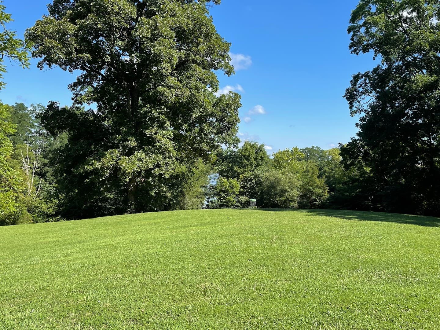 Wendell Moore Park pickleball courts