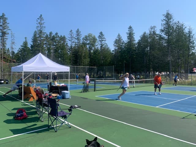 Snows Heritage Park pickleball courts