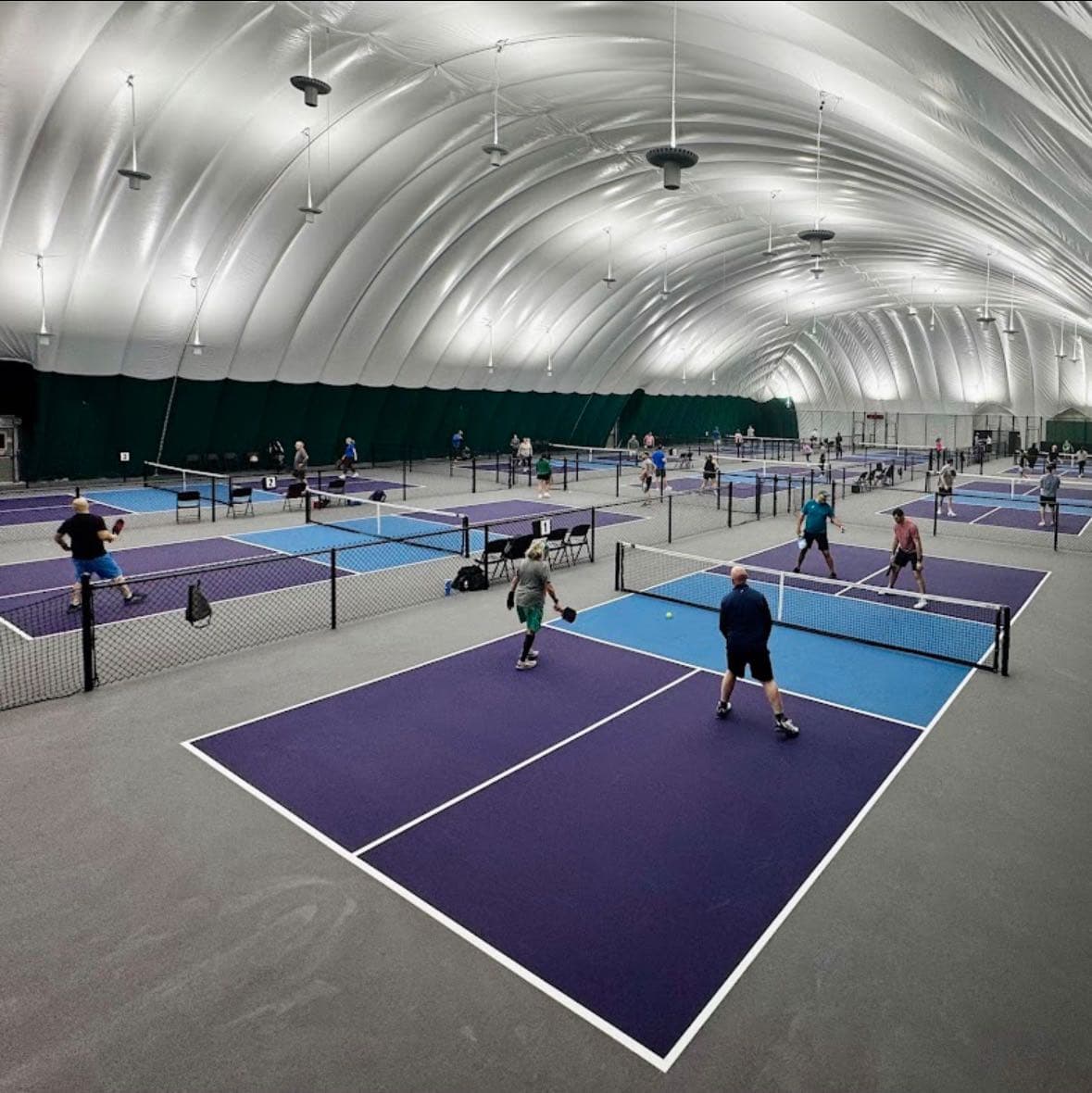 Pickleball Euphoria - Clarksville pickleball courts