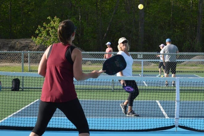 Shiawassee Park pickleball courts
