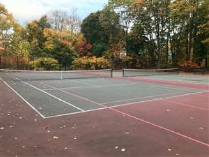 Clifford Park pickleball courts