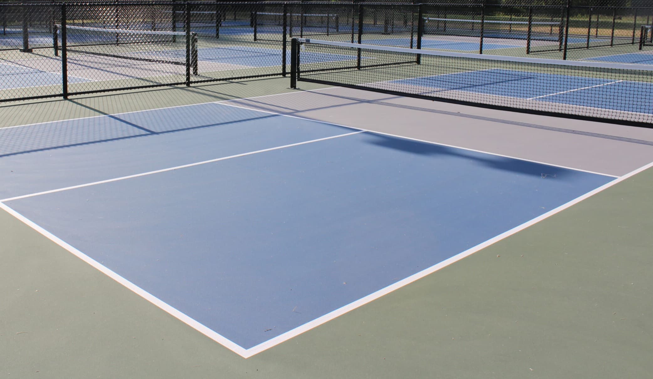 Jack Purcell Pickleball Courts pickleball courts