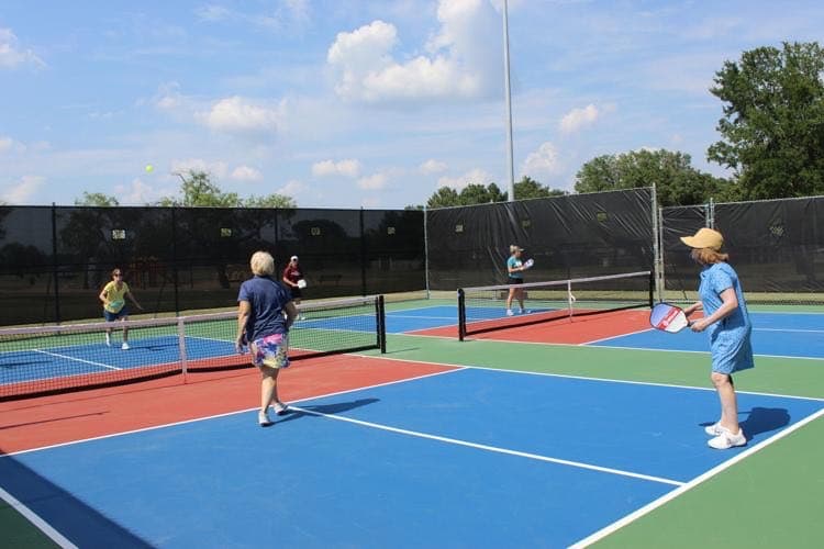 Pickleball Zone pickleball courts