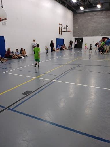 Rochester Pickleball pickleball courts