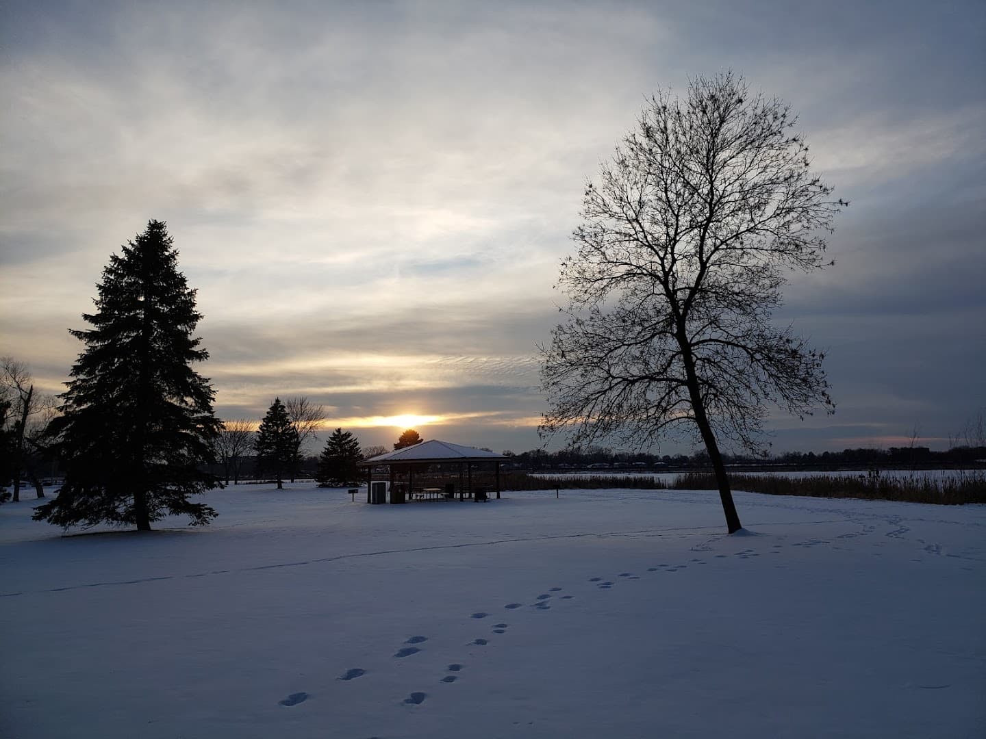 Moore Lake Pickleball Courts pickleball courts