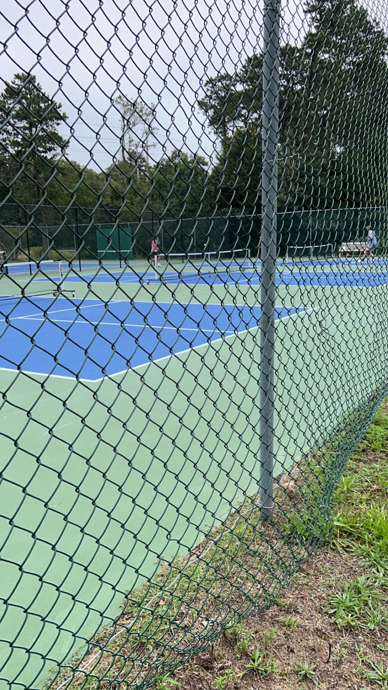 Lake Street Park pickleball courts
