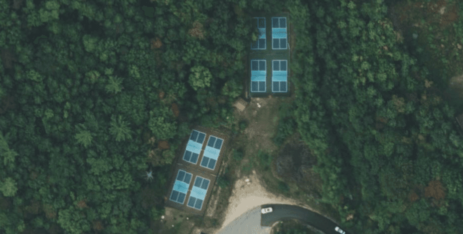 McSheffrey’s Up North-The Club pickleball courts
