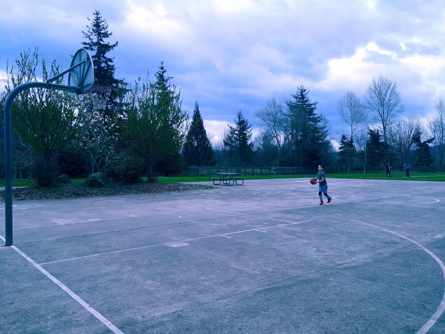 Birchwood Park pickleball courts