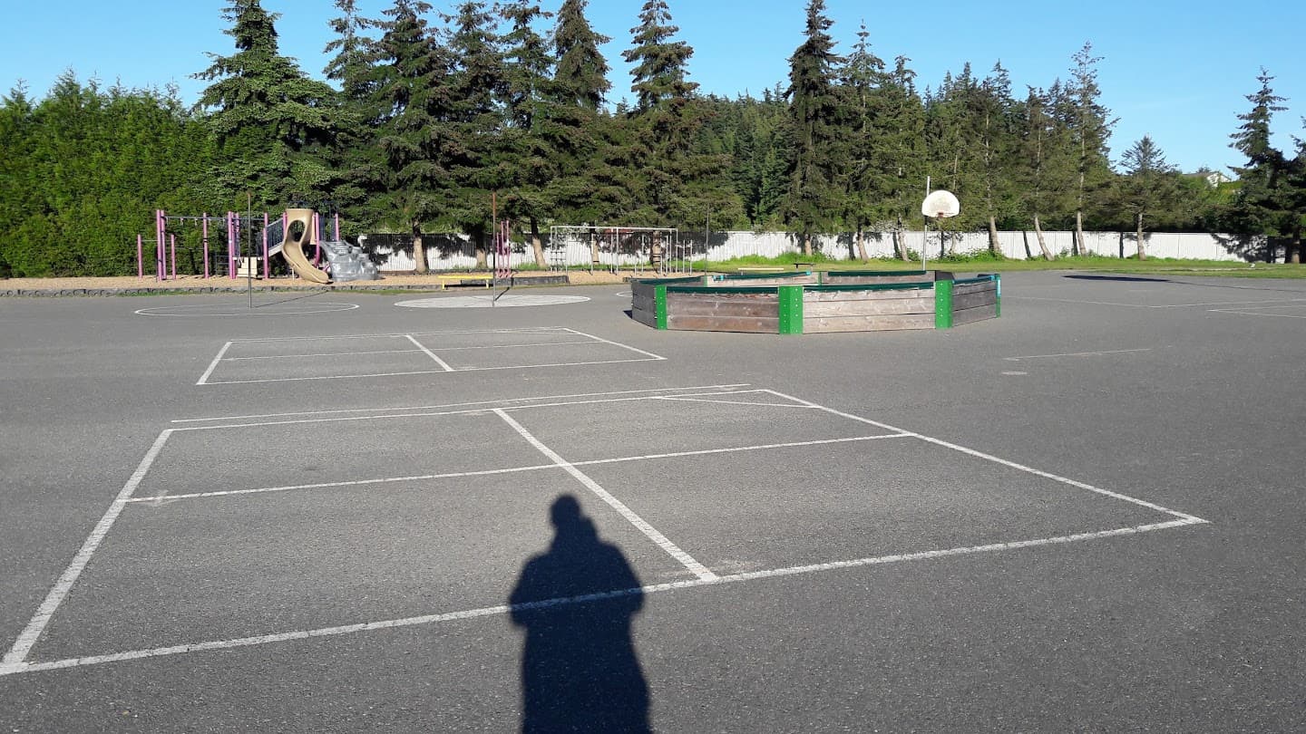 Mount Erie Elementary pickleball courts