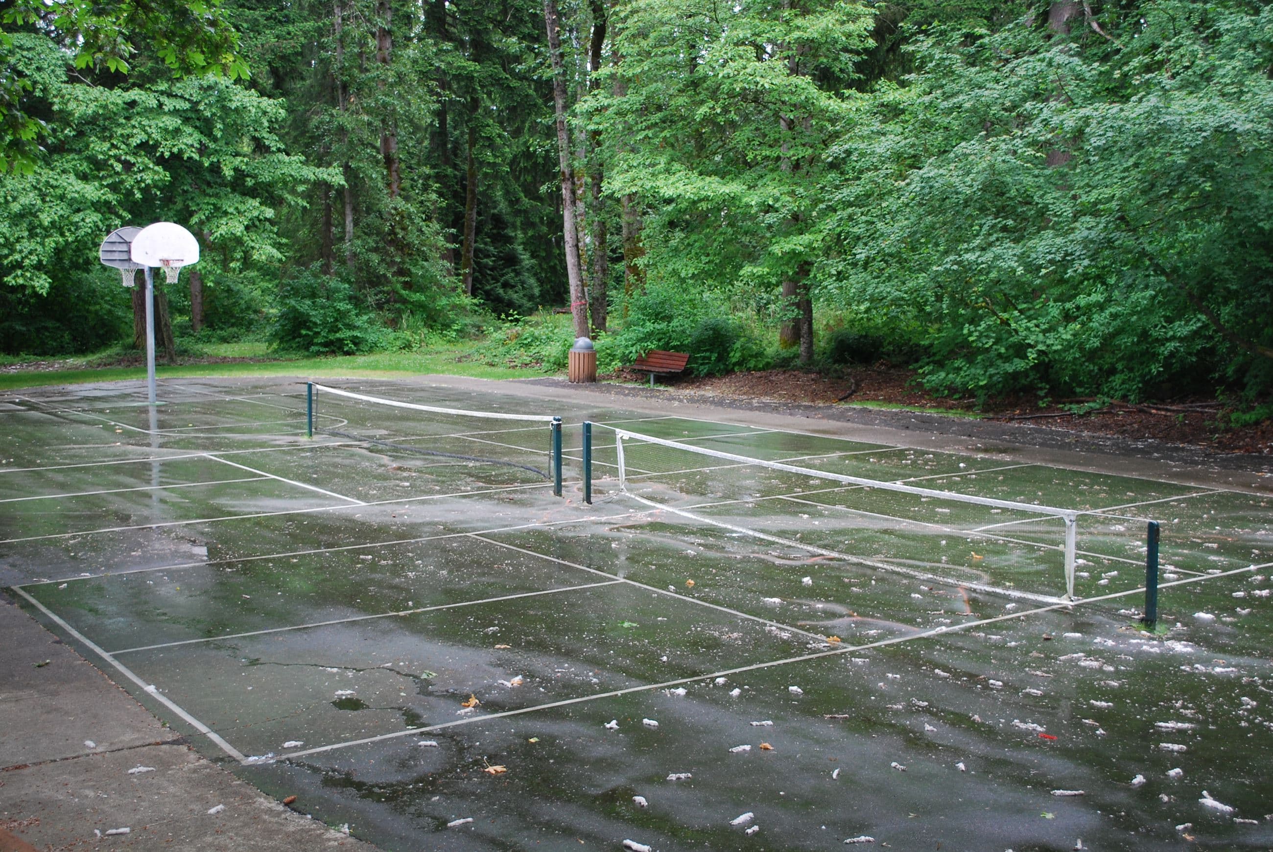 Meadow Park Pickleball Courts pickleball courts