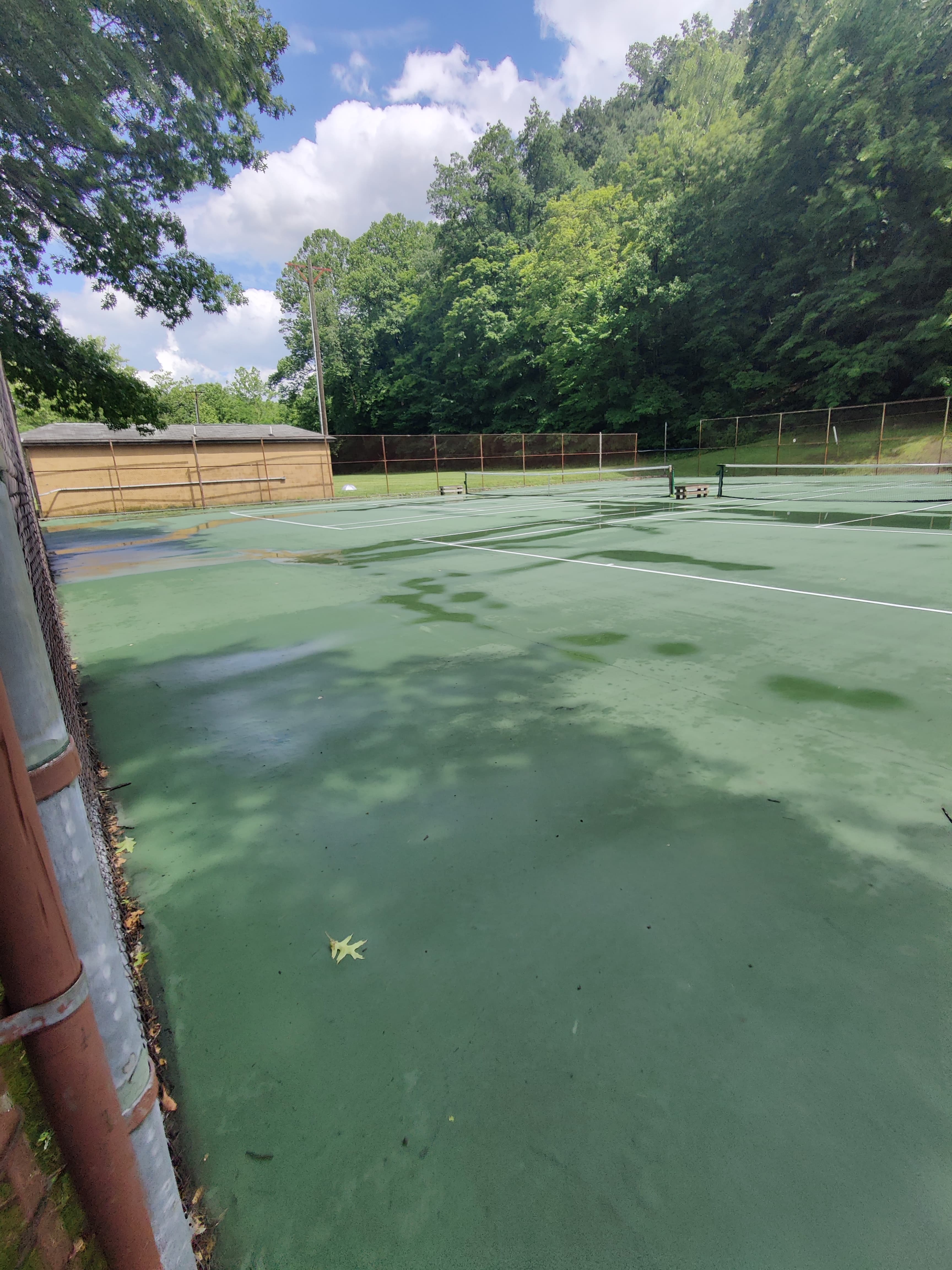 Marilla Park Pickleball pickleball courts