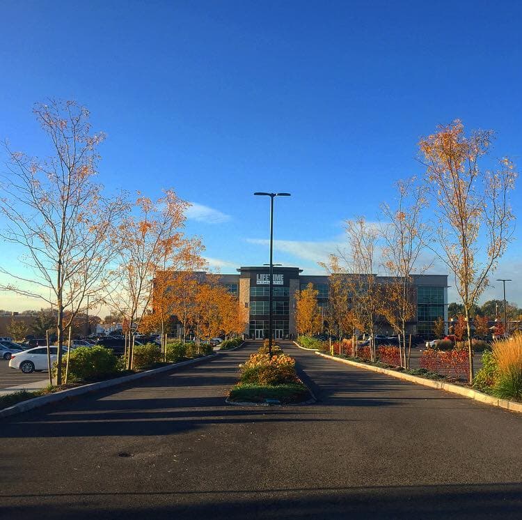 Life Time Westwood pickleball courts