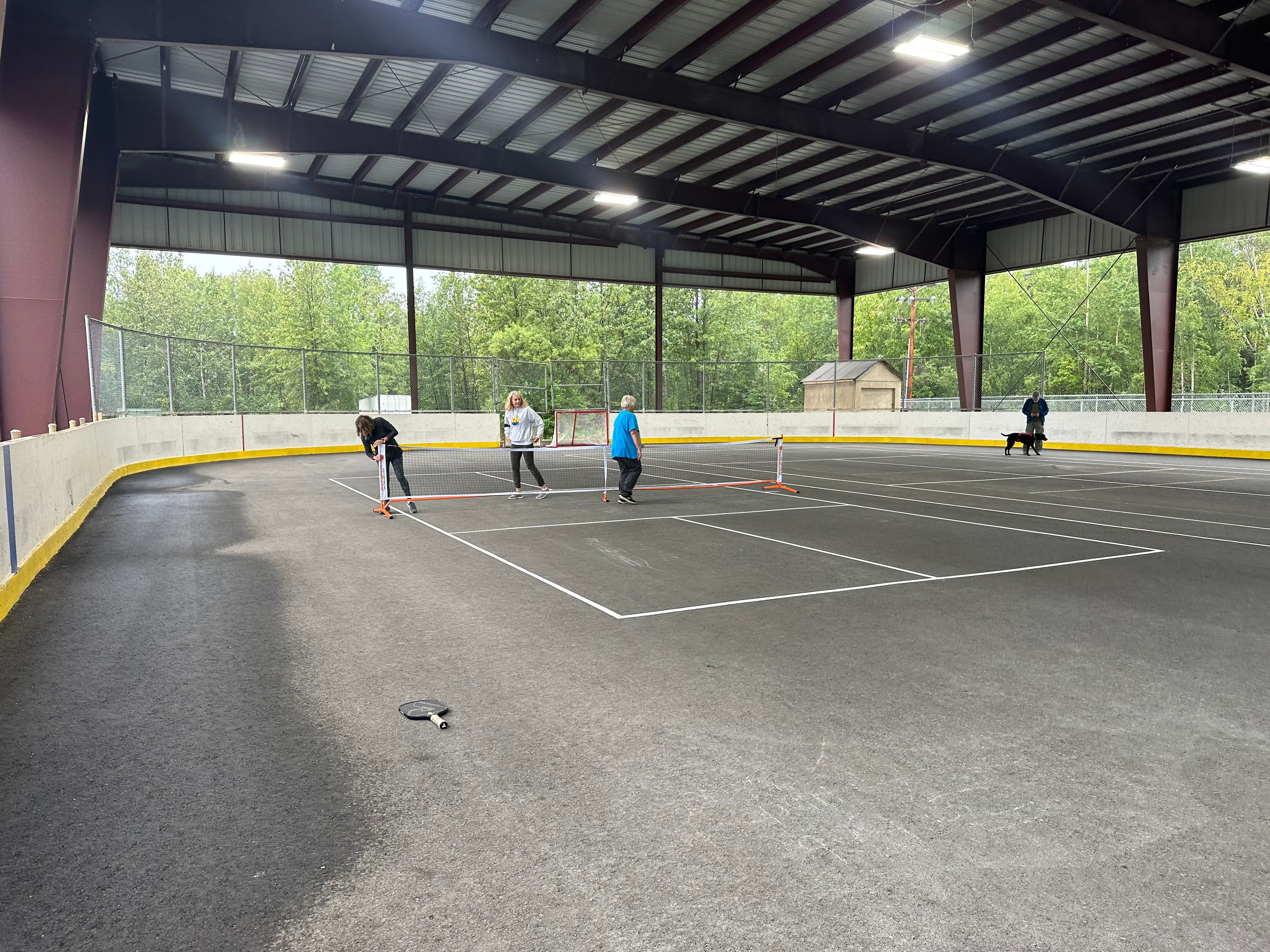 Willow Elementary School Hockey Rink pickleball courts