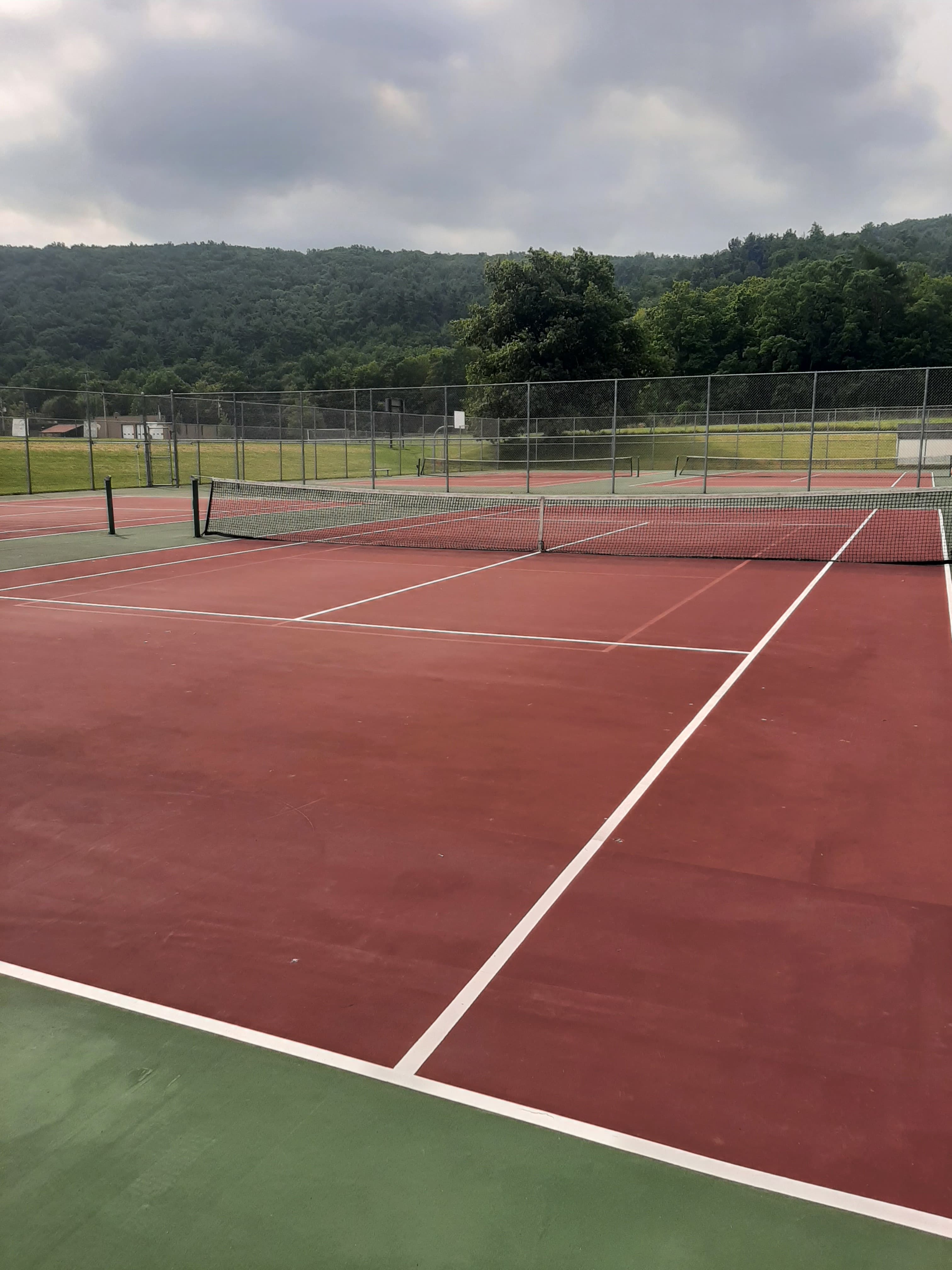 Hammondsport Central High School pickleball courts