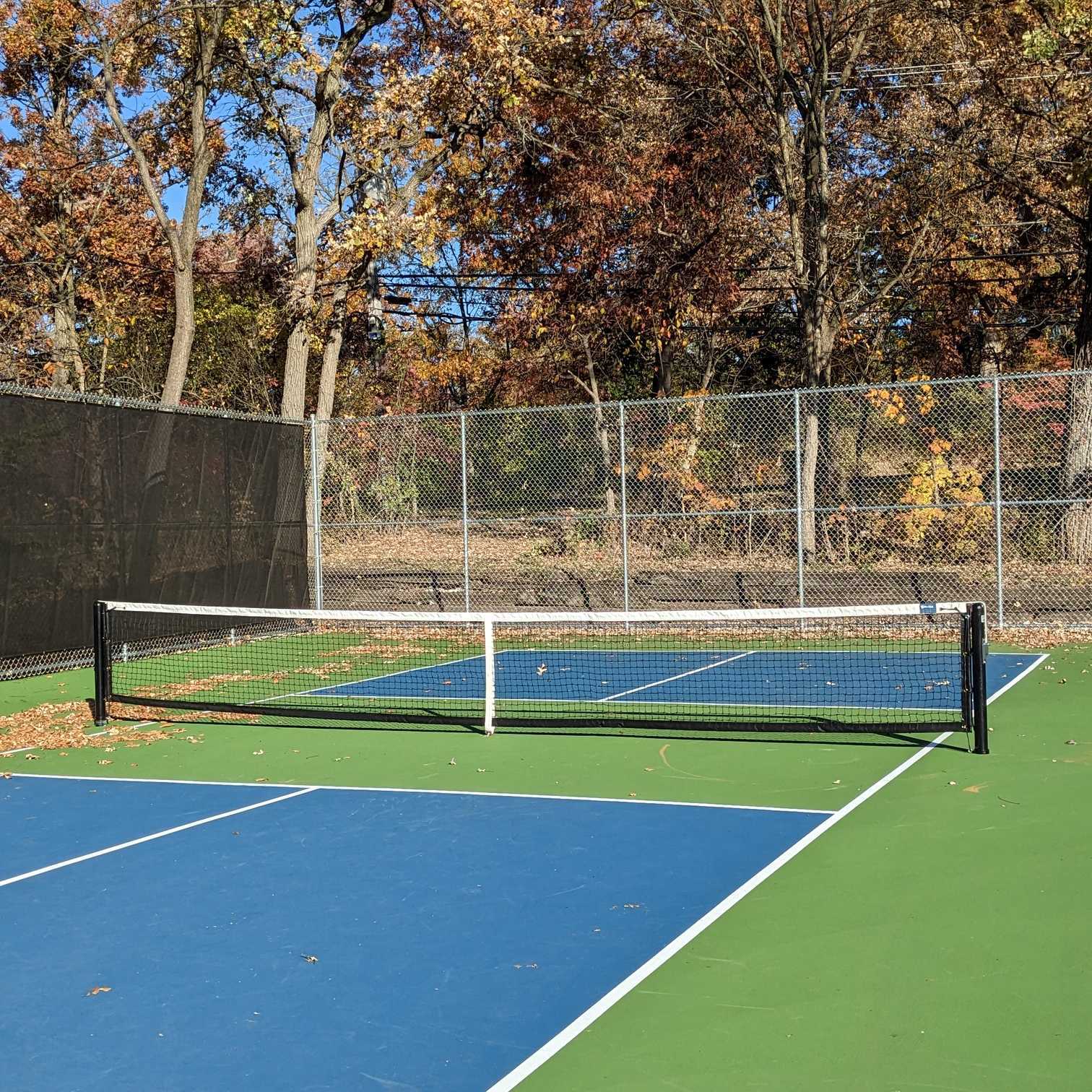 Palos Park Recreation Center pickleball courts