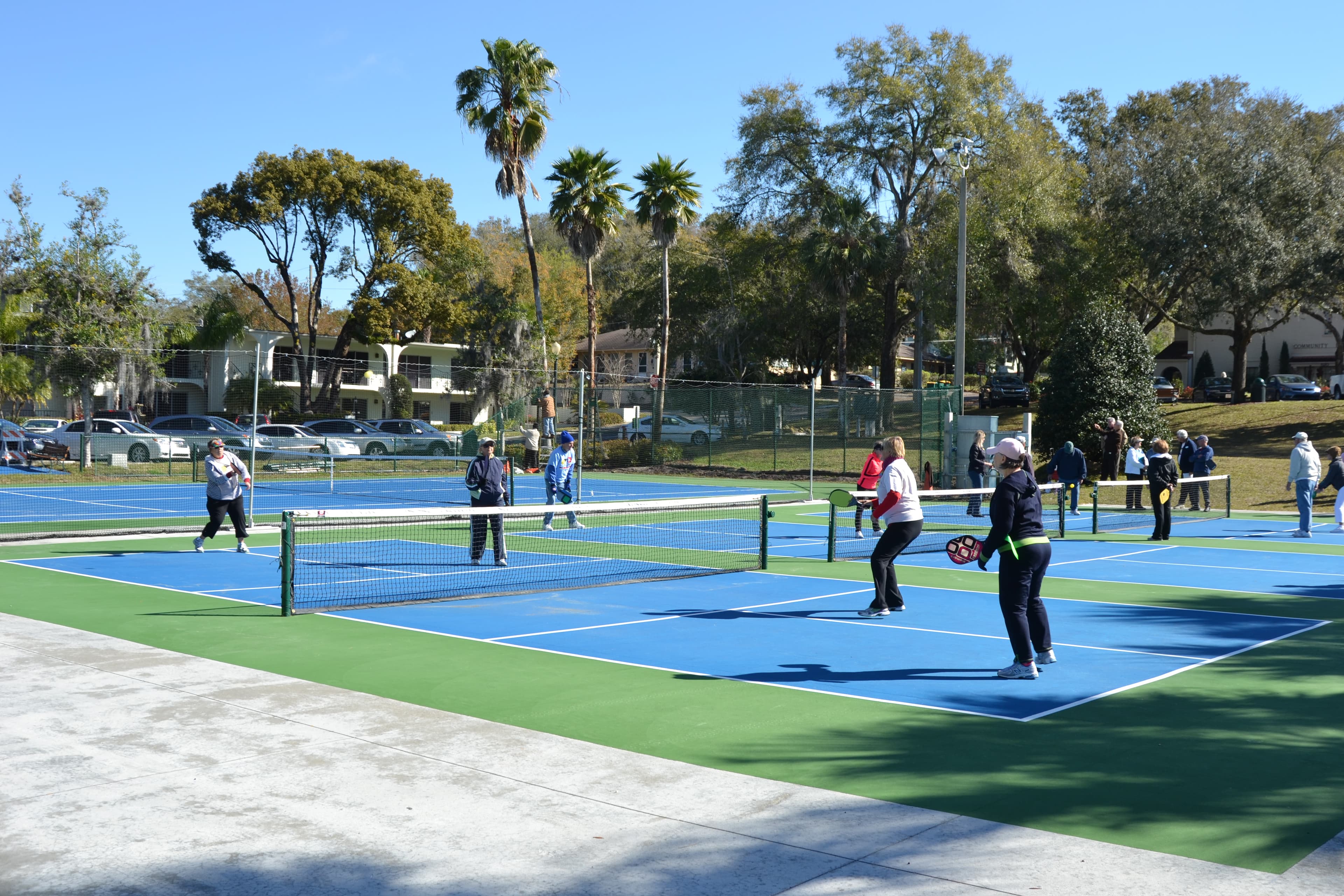 Summer View Park pickleball courts