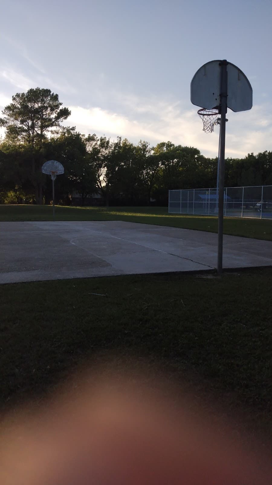 Cora and R.L. Johnson Park pickleball courts