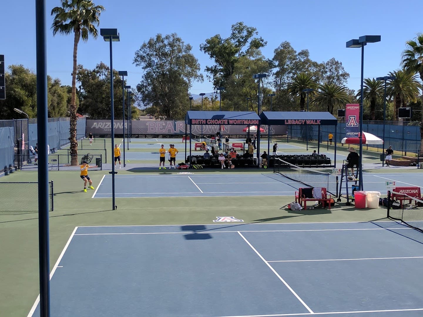 Robson Tennis Center pickleball courts